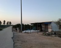 Reventa - Parcela / Terreno - Guardamar del Segura