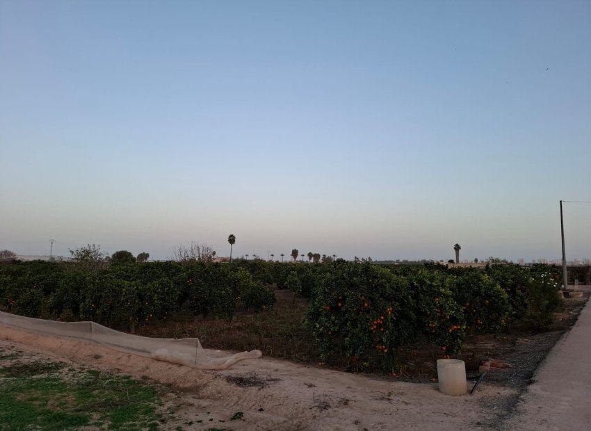 Reventa - Parcela / Terreno - Guardamar del Segura