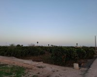 Reventa - Parcela / Terreno - Guardamar del Segura