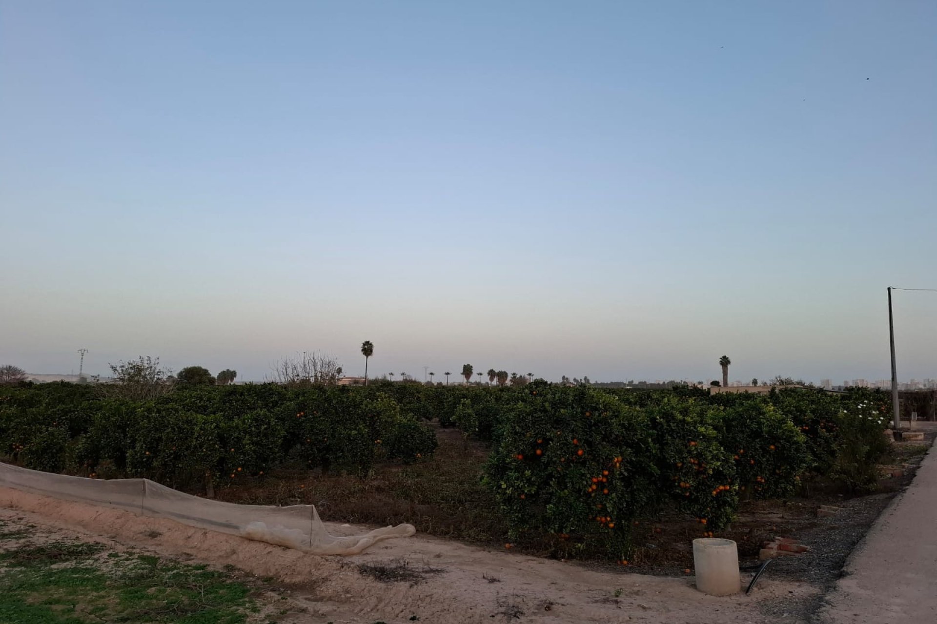 Reventa - Parcela / Terreno - Guardamar del Segura