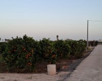 Reventa - Parcela / Terreno - Guardamar del Segura