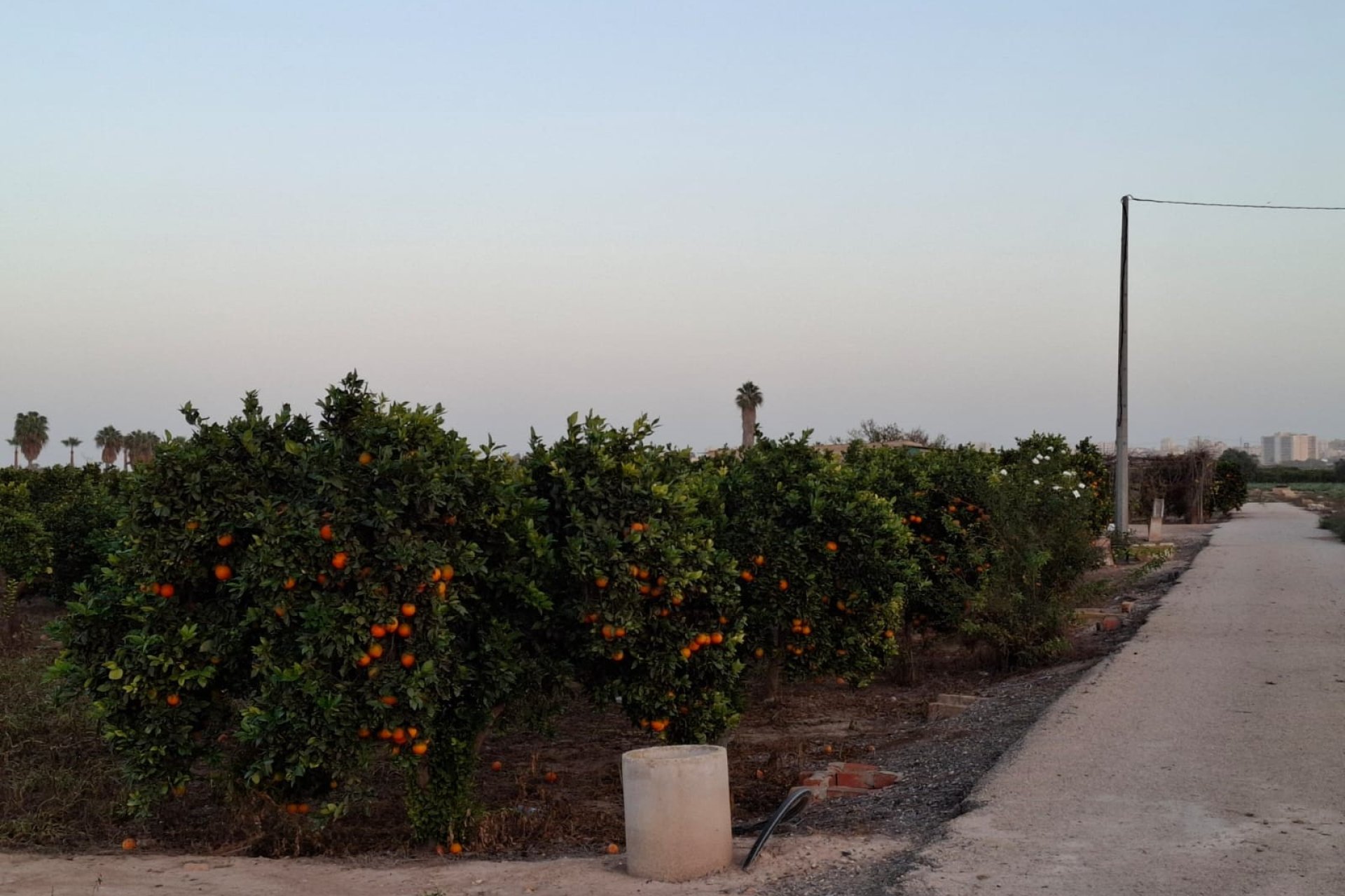 Reventa - Parcela / Terreno - Guardamar del Segura