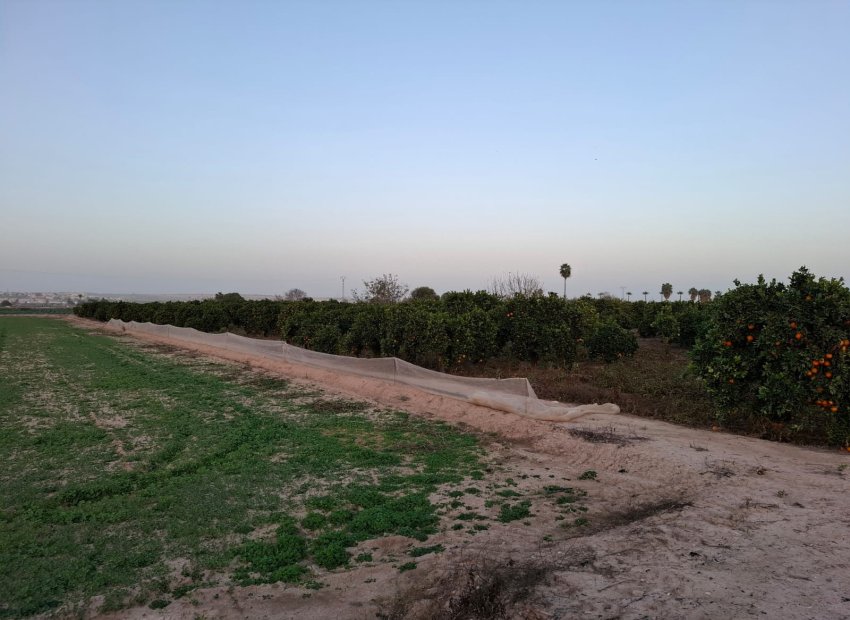 Reventa - Parcela / Terreno - Guardamar del Segura