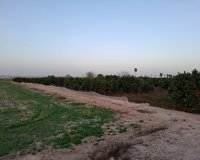 Reventa - Parcela / Terreno - Guardamar del Segura