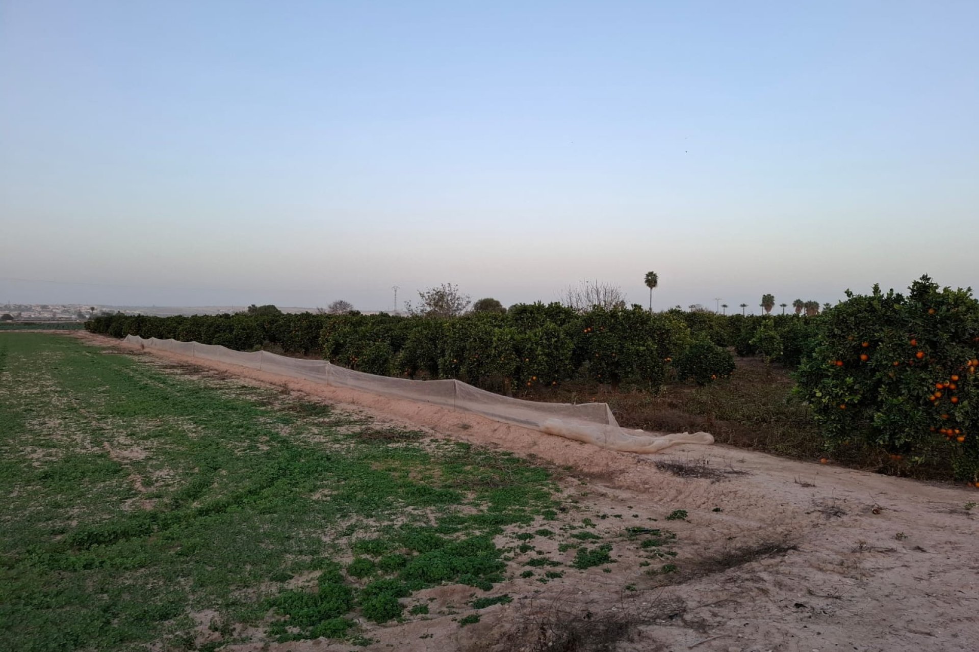 Reventa - Parcela / Terreno - Guardamar del Segura