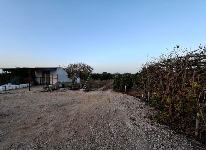 Reventa - Parcela / Terreno - Guardamar del Segura