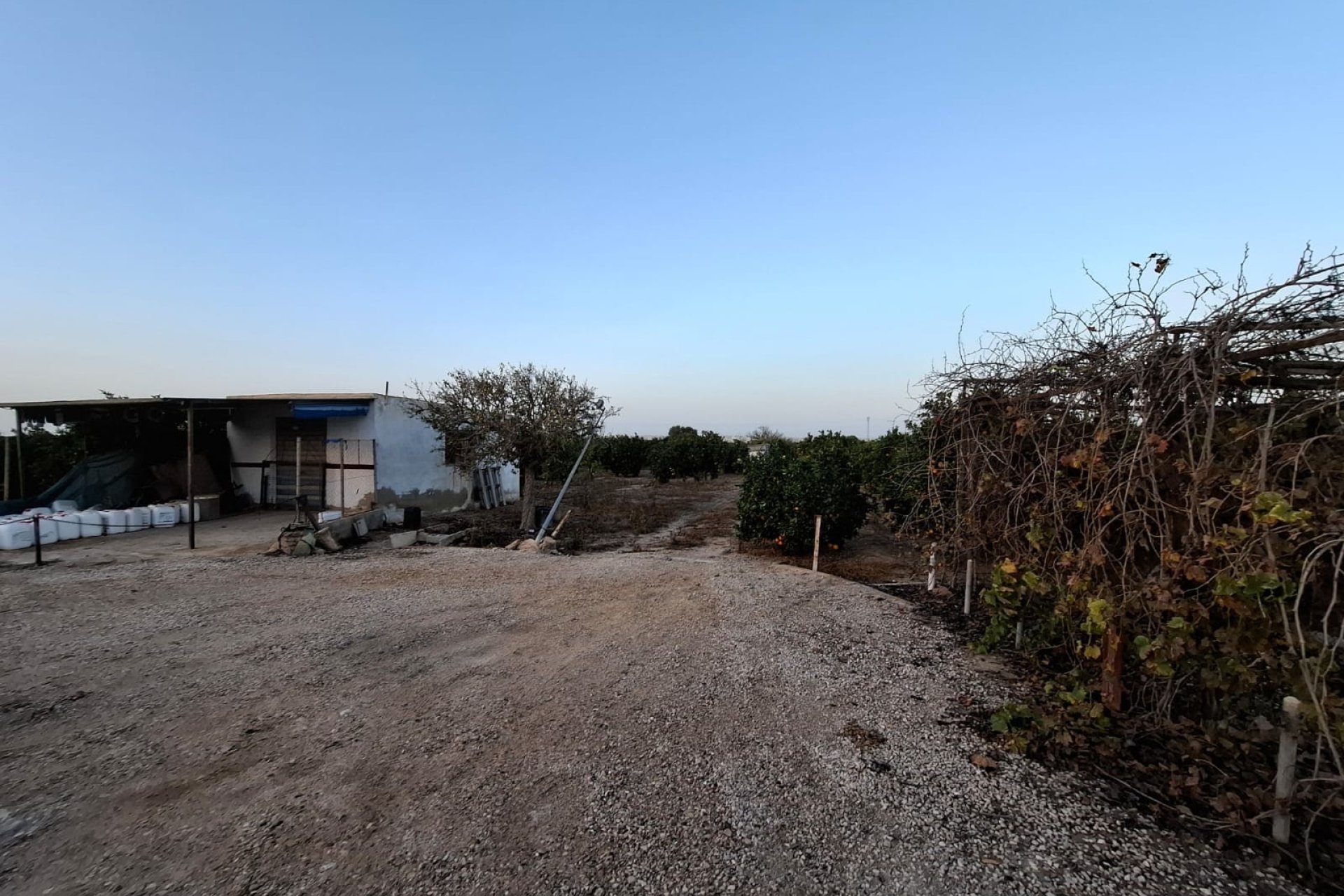 Reventa - Parcela / Terreno - Guardamar del Segura