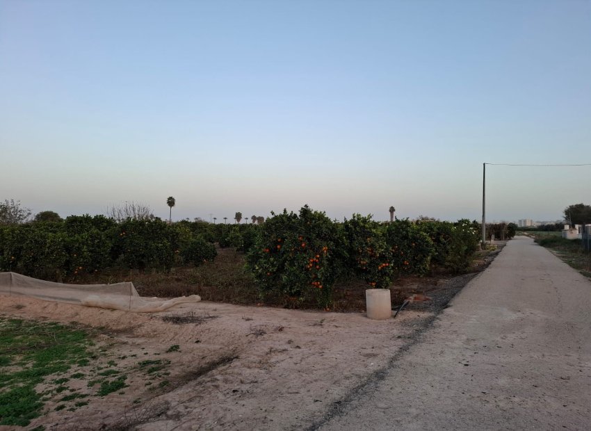 Reventa - Parcela / Terreno - Guardamar del Segura