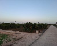 Reventa - Parcela / Terreno - Guardamar del Segura