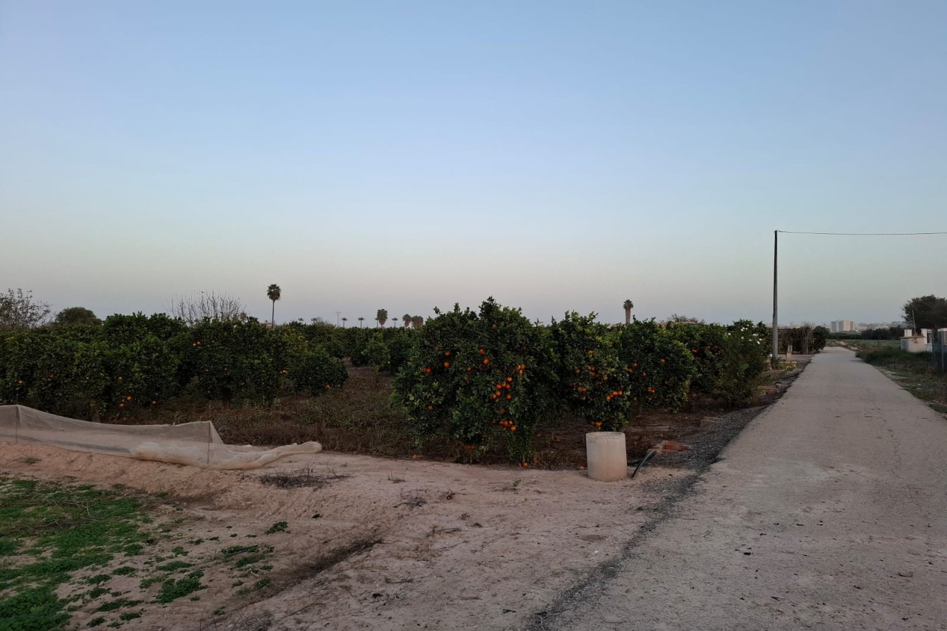 Reventa - Parcela / Terreno - Guardamar del Segura