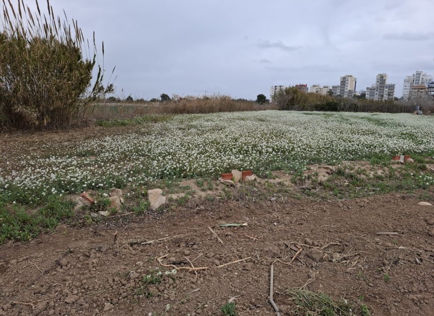Reventa - Parcela / Terreno - Guardamar del Segura