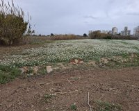 Reventa - Parcela / Terreno - Guardamar del Segura