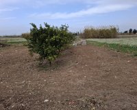 Reventa - Parcela / Terreno - Guardamar del Segura