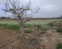 Reventa - Parcela / Terreno - Guardamar del Segura