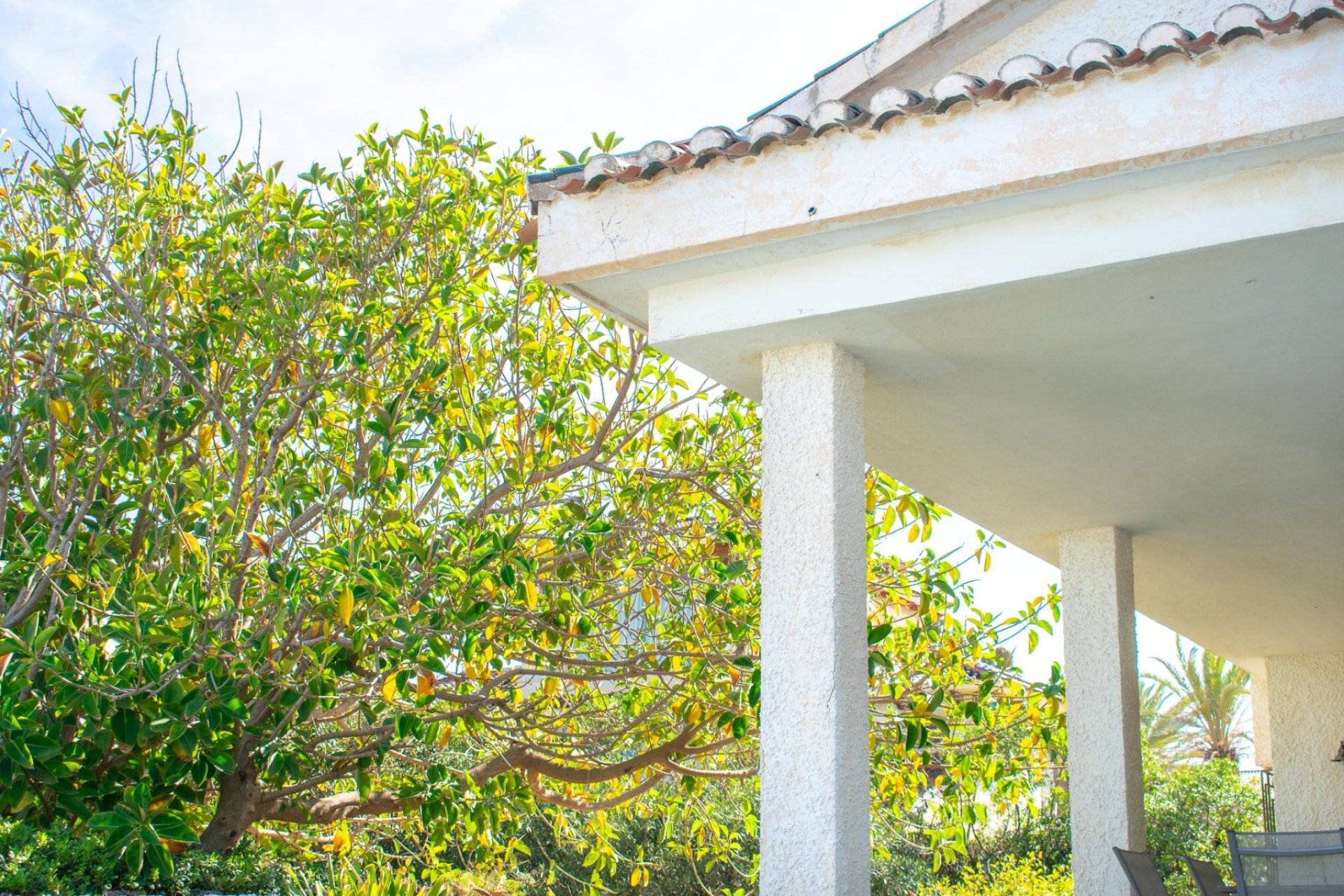 Reventa - Parcela / Terreno - Orihuela Costa - Cabo Roig