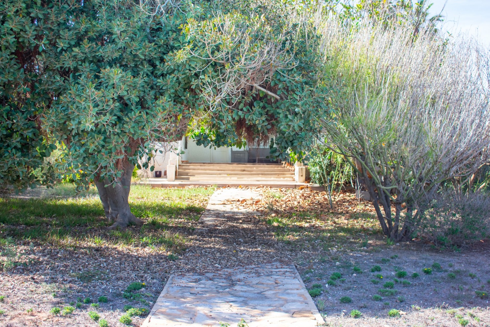 Reventa - Parcela / Terreno - Orihuela Costa - Cabo Roig