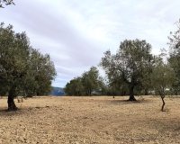 Reventa - Parcela / Terreno - Penáguila