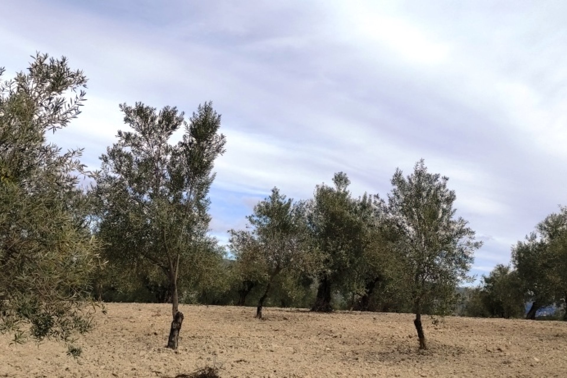 Reventa - Parcela / Terreno - Penáguila