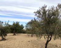 Reventa - Parcela / Terreno - Penáguila