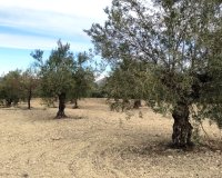 Reventa - Parcela / Terreno - Penáguila
