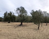 Reventa - Parcela / Terreno - Penáguila