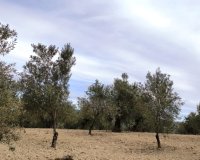 Reventa - Parcela / Terreno - Penáguila