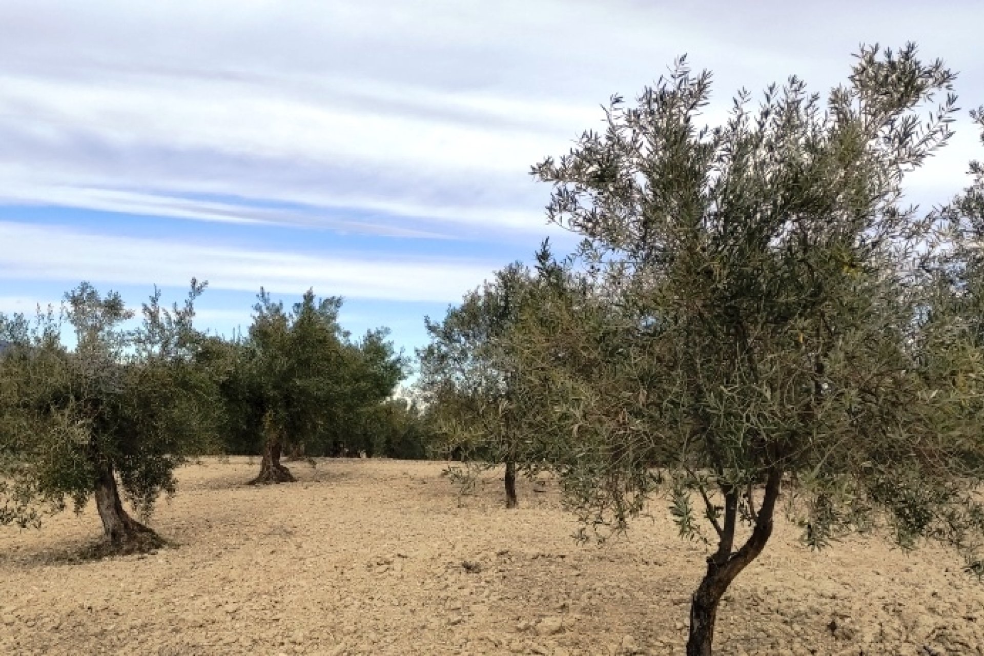 Reventa - Parcela / Terreno - Penáguila