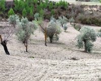 Reventa - Parcela / Terreno - Penáguila