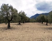 Reventa - Parcela / Terreno - Penáguila