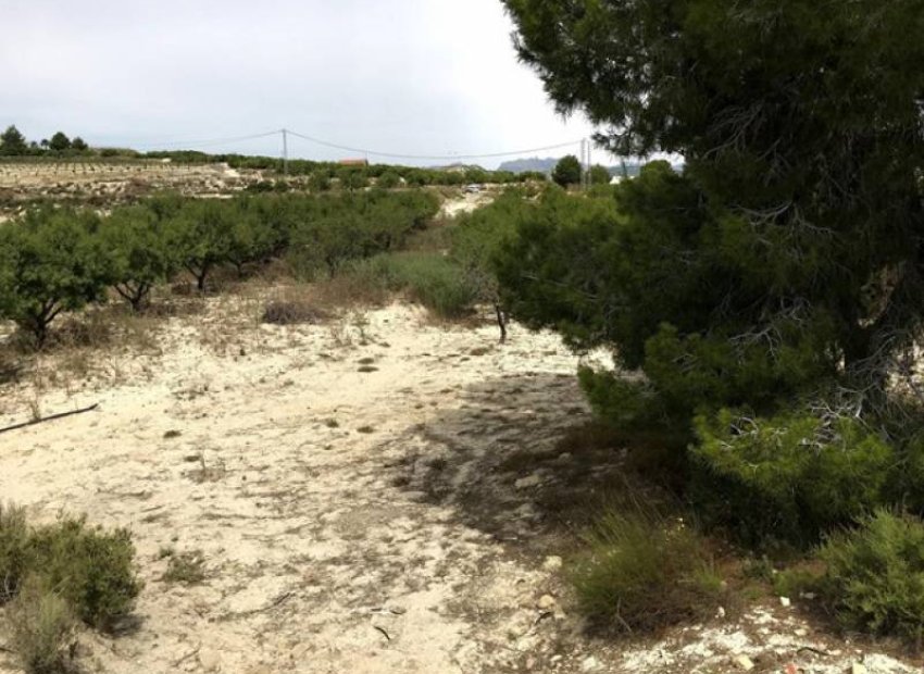 Reventa - Parcela / Terreno - Pilar de la Horadada - La Perdiz