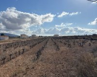 Reventa - Parcela / Terreno - Pinoso - el Pinós / Pinoso