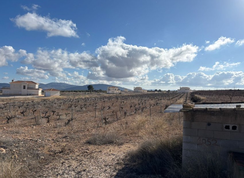 Reventa - Parcela / Terreno - Pinoso - el Pinós / Pinoso