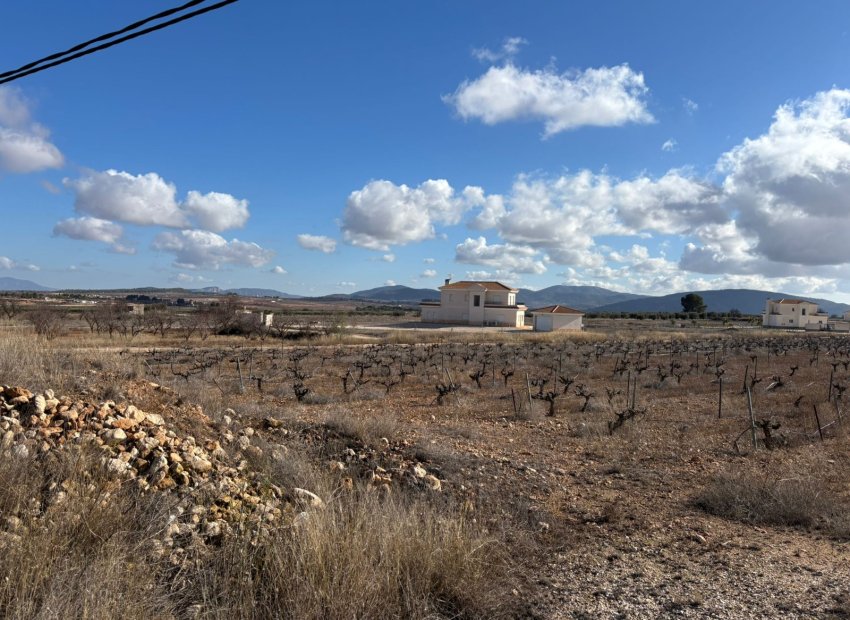 Reventa - Parcela / Terreno - Pinoso - el Pinós / Pinoso