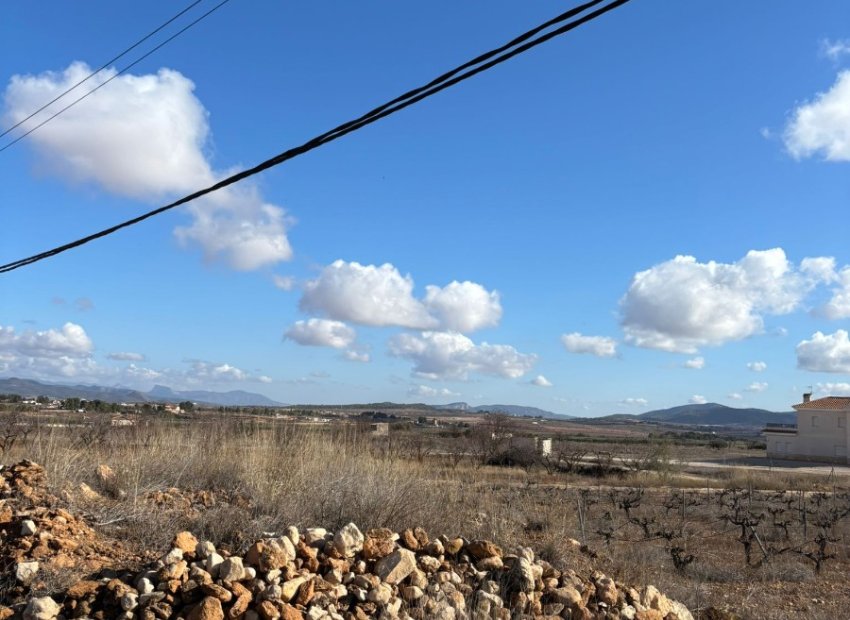 Reventa - Parcela / Terreno - Pinoso - el Pinós / Pinoso
