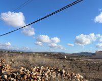 Reventa - Parcela / Terreno - Pinoso - el Pinós / Pinoso