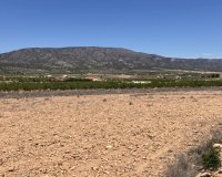 Reventa - Parcela / Terreno - Pinoso - Lel