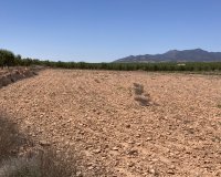 Reventa - Parcela / Terreno - Pinoso - Lel