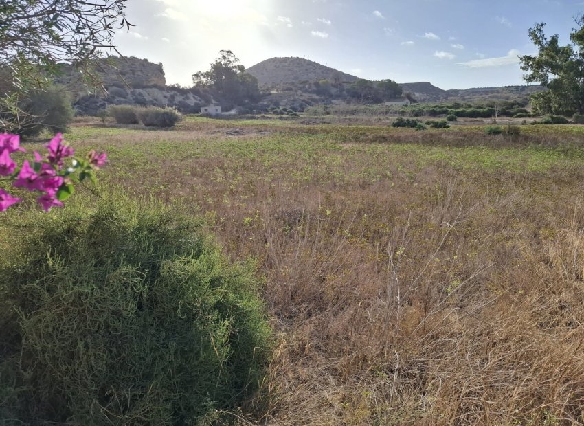 Reventa - Parcela / Terreno - Rojales - Ciudad Quesada