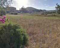 Reventa - Parcela / Terreno - Rojales - Ciudad Quesada