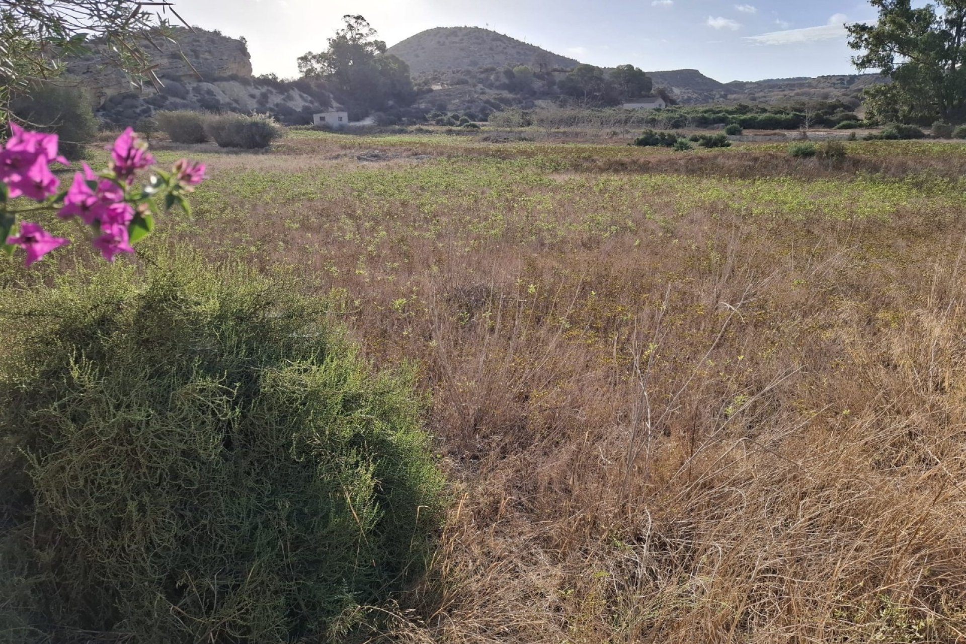Reventa - Parcela / Terreno - Rojales - Ciudad Quesada