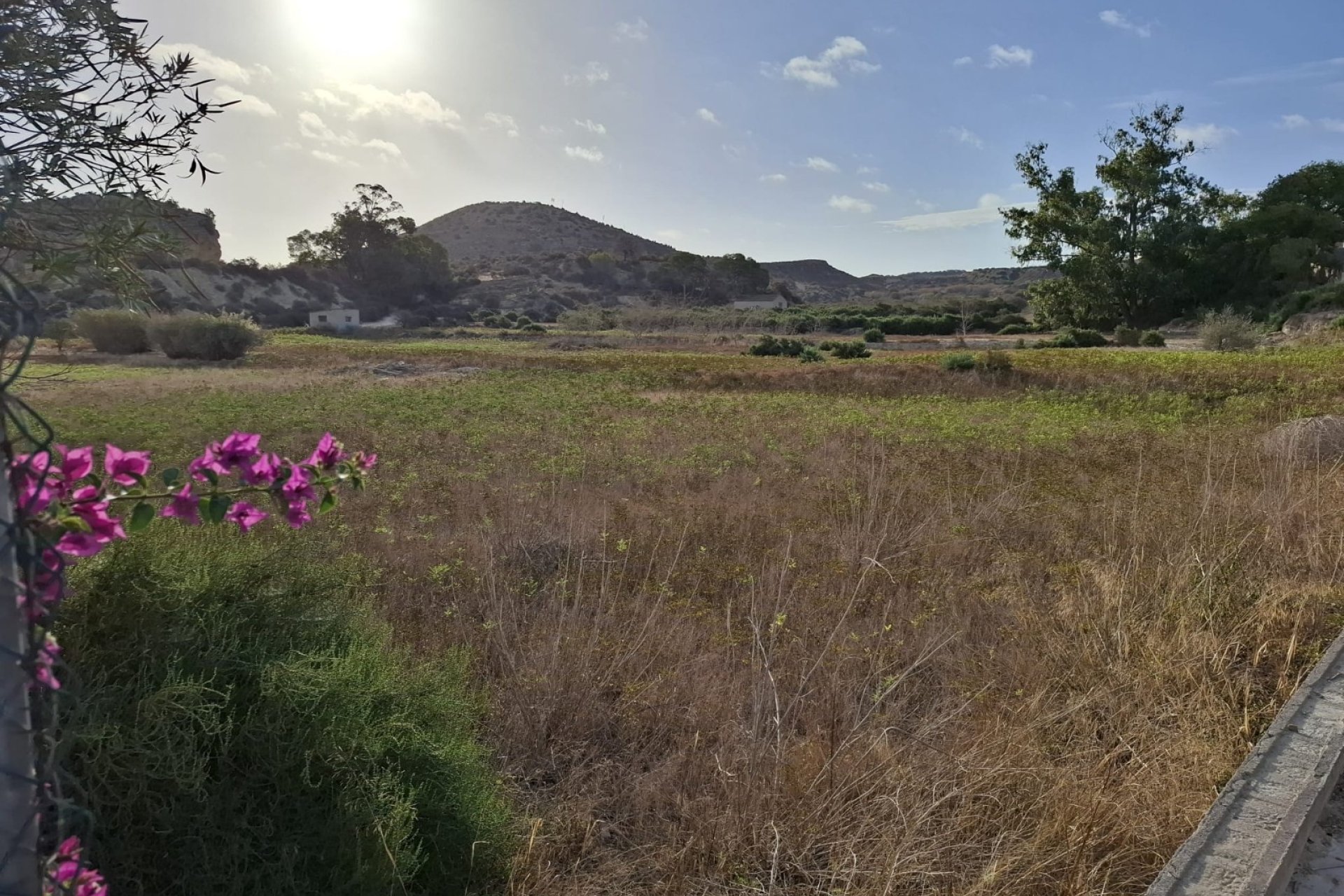 Reventa - Parcela / Terreno - Rojales - Ciudad Quesada