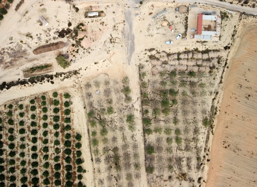 Reventa - Parcela / Terreno - Torremendo - Torremendo - Country