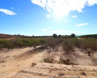 Reventa - Parcela / Terreno - Torremendo - Torremendo - Country