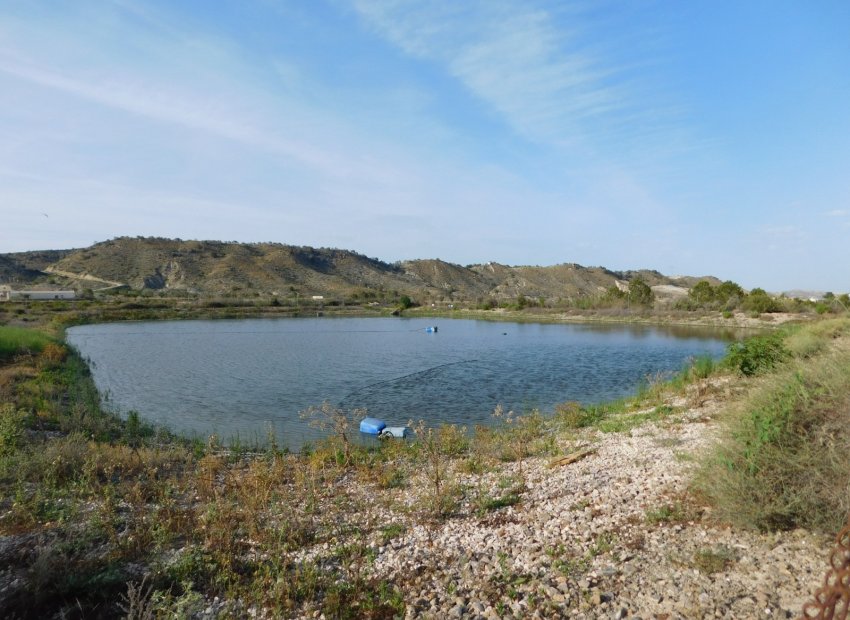Reventa - Parcela / Terreno - Torremendo
