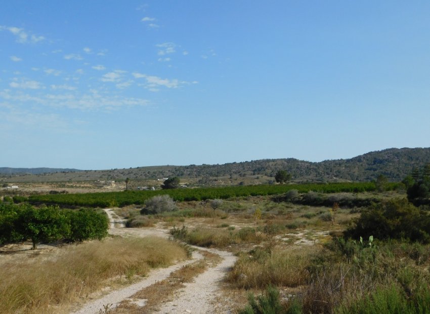 Reventa - Parcela / Terreno - Torremendo