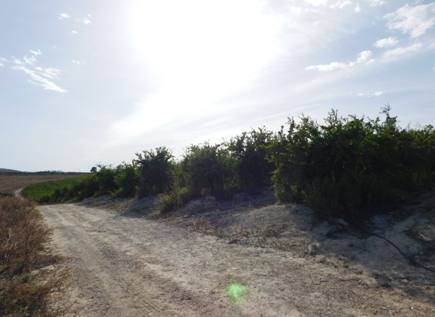 Reventa - Parcela / Terreno - Torremendo