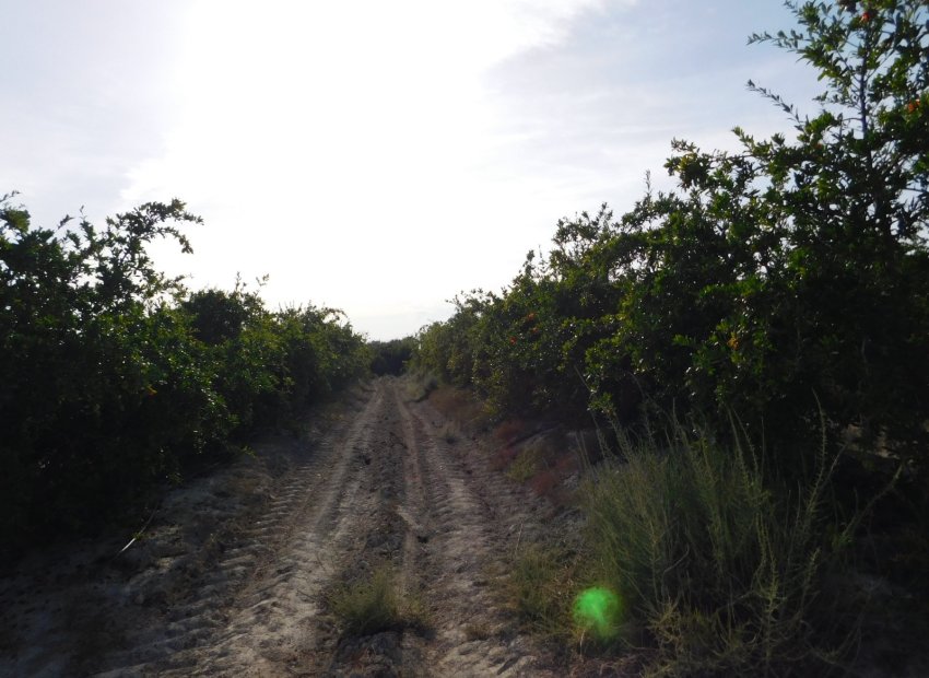 Reventa - Parcela / Terreno - Torremendo