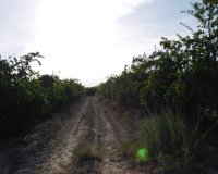 Reventa - Parcela / Terreno - Torremendo