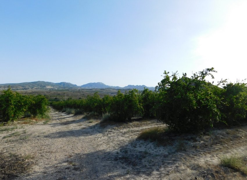 Reventa - Parcela / Terreno - Torremendo