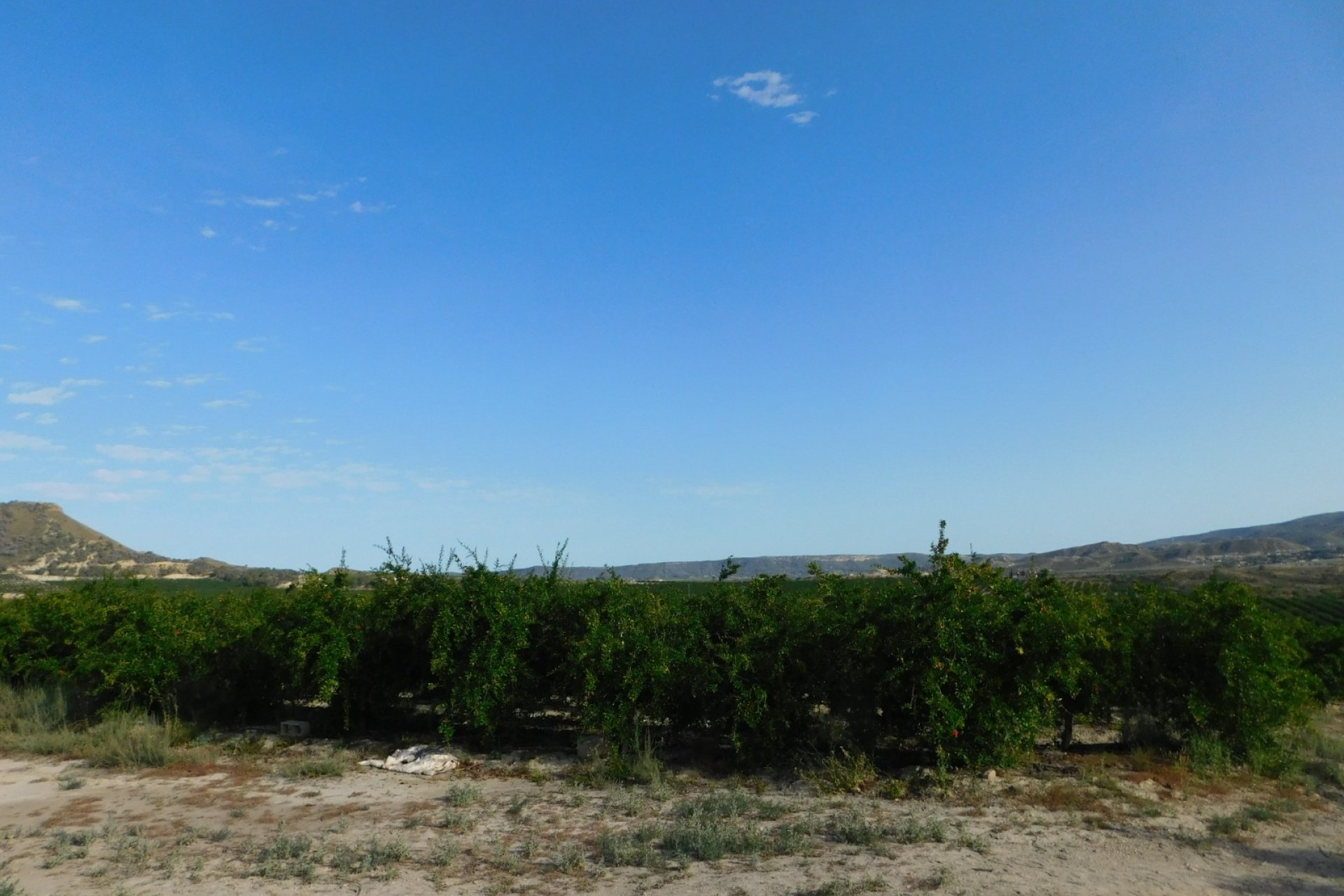 Reventa - Parcela / Terreno - Torremendo